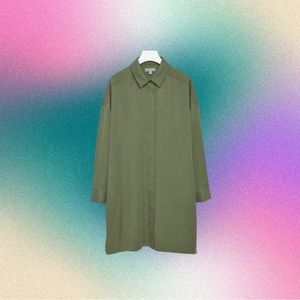 COS - Collared Shirt Dress/Tunic